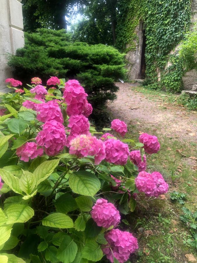 Demeure Des Payratons Bed and Breakfast Saint-Gerand-le-Puy Eksteriør billede